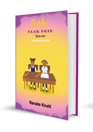 Sise se Vriende: Lees Reeks: Vlak Drie (set of 5 Books)